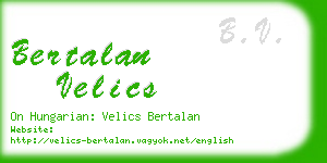 bertalan velics business card